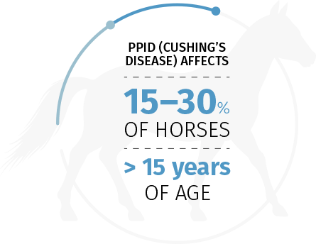 PPID (Cushing’s Disease) affects 15–30% of horses > 15 years of age