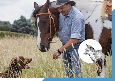 Man, horse and dog in field with image of fox